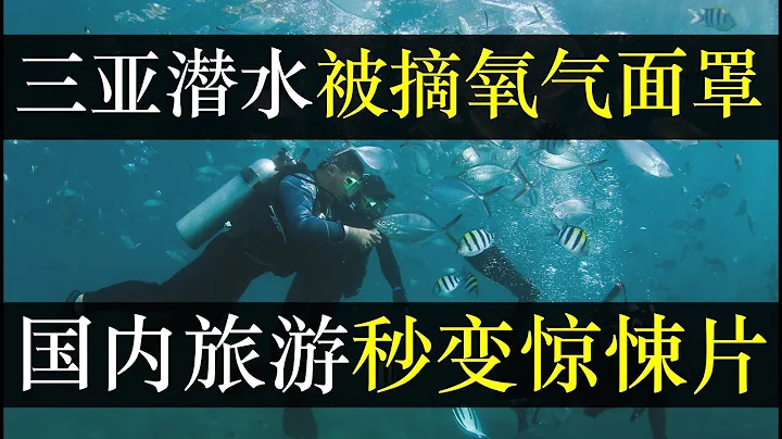 三亚潜水被摘氧气面罩，中国旅游秒变惊悚片。有钱人不在国内旅游因为监管不严，各地旅游事故频发都有官员保护。出门玩变闹心，百姓与小商贩势不两立。人民越来越分散，谁受益了（单口相声嘚啵嘚之三亚潜水被推销） - 天天要闻