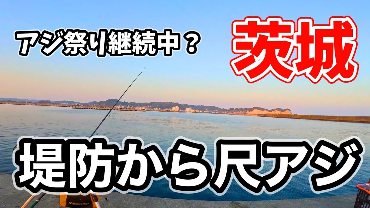 茨城 堤防から尺アジ狙いで釣りをした結果・・・