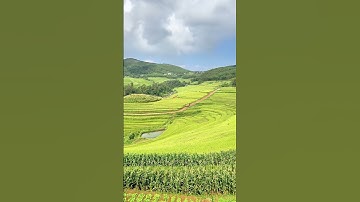 LỄ HỘI RUỘNG BẬC THANG 2025