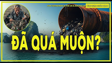 Rừng Vàng Biển Bạc: Lời Nói Dối Thế Kỷ? | Sự Thật Trần Trụi Về Khủng Hoảng Môi Trường Việt Nam.