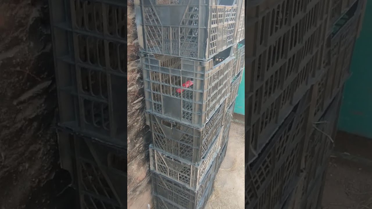 #انتظروني قريبآ وطريقة عمل عيون الحمام من اقفاص البلاستيك @