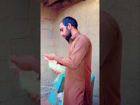 ممنون از شما دوستان عزیز کانال ما را سابسکرایب کنید 