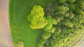 FPV Tree Dancing 2023
