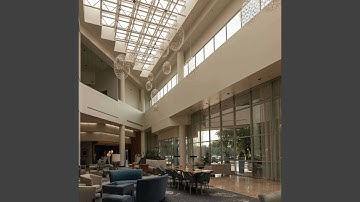 Grand Backdrops for Holiday Memories