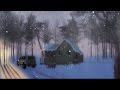 True Snowstorm Stories Animated