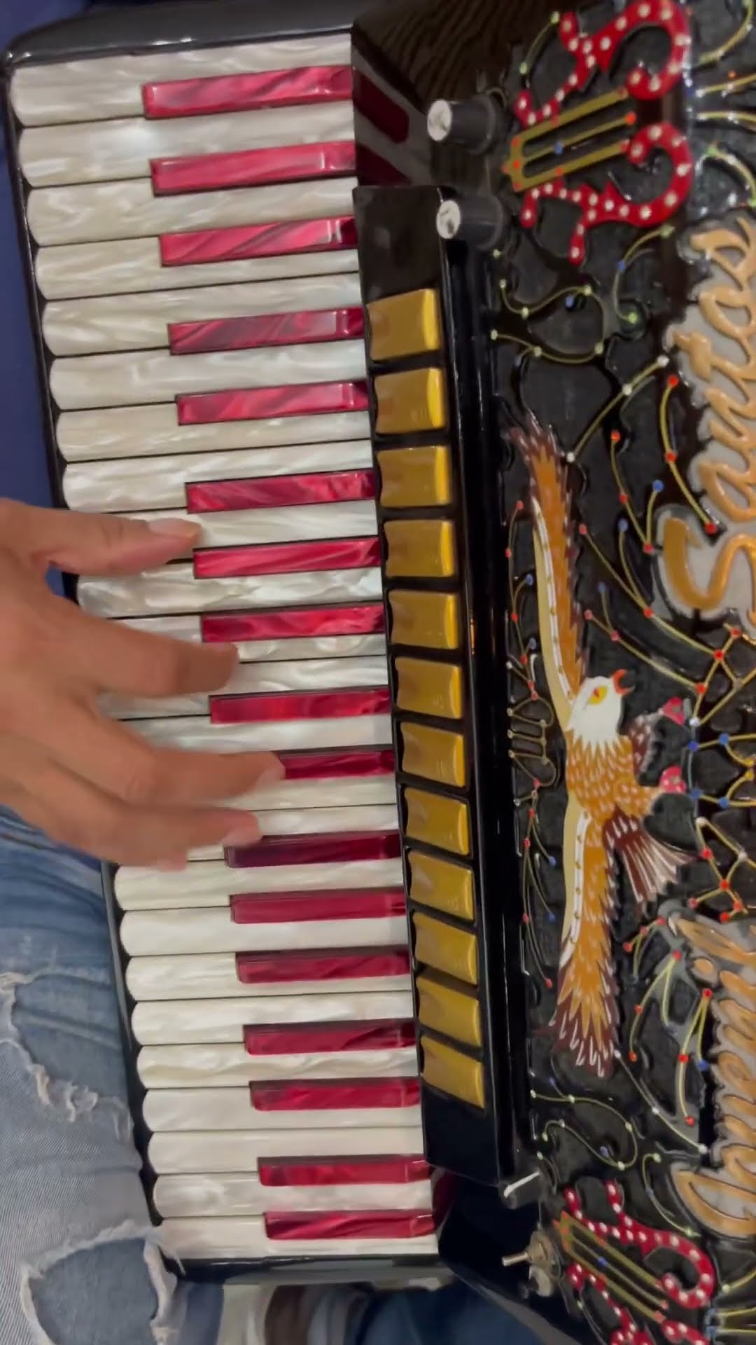 https://rifei.com.br/acordeon-melody-president