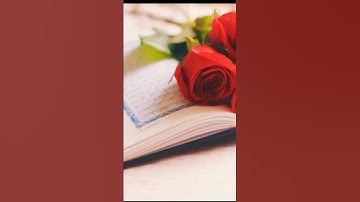 سوره الفلق قران كريم بصوت جميل جداً 💖