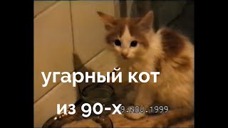 КОТ из 90-х. УГОРАЛИ ВСЕ! Самое смешное видео!