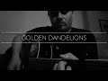 Barns Courtney - Golden Dandelions Cover