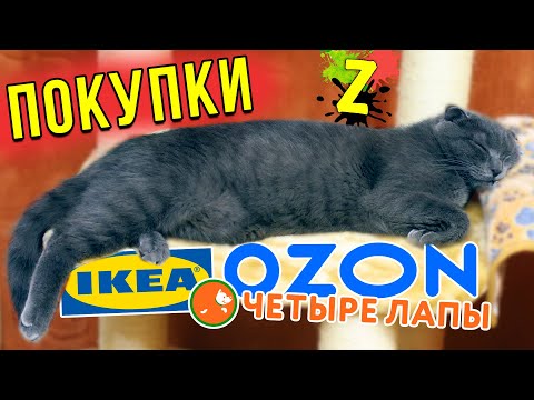 Мои покупки января