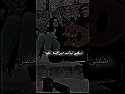 شفتي شايب بس له قلبي تفاعل استوريات