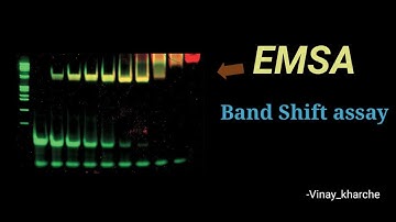 EMSA, Band shift assay - Know interaction between Dna & Rna artificially