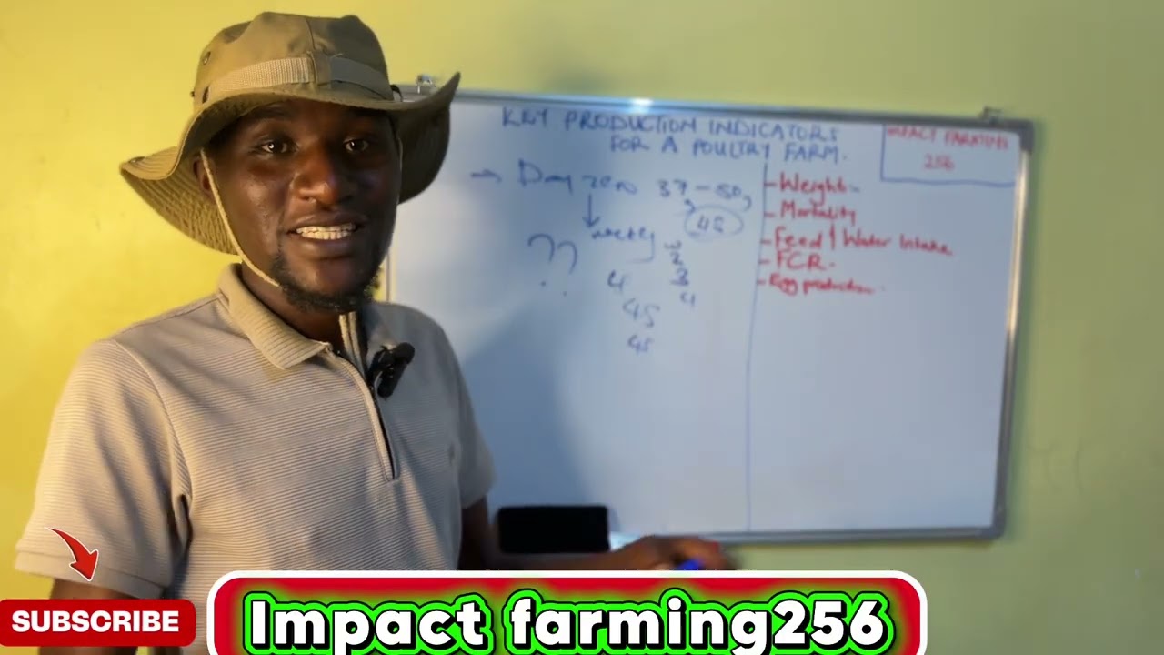 Key production indicators in poultry farming