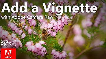 Adding a Vignette in Adobe Camera Raw | #AdobeCameraRaw #Vignette