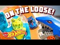 @Hot Wheels  | DINOSAURS, DRAGONS, SHARKS, and GORILLAS ON THE LOOSE!