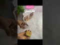 Glass jar with wooden lid || Meesho || #Jar || Shorts|| # viral || #ShreyaDeep
