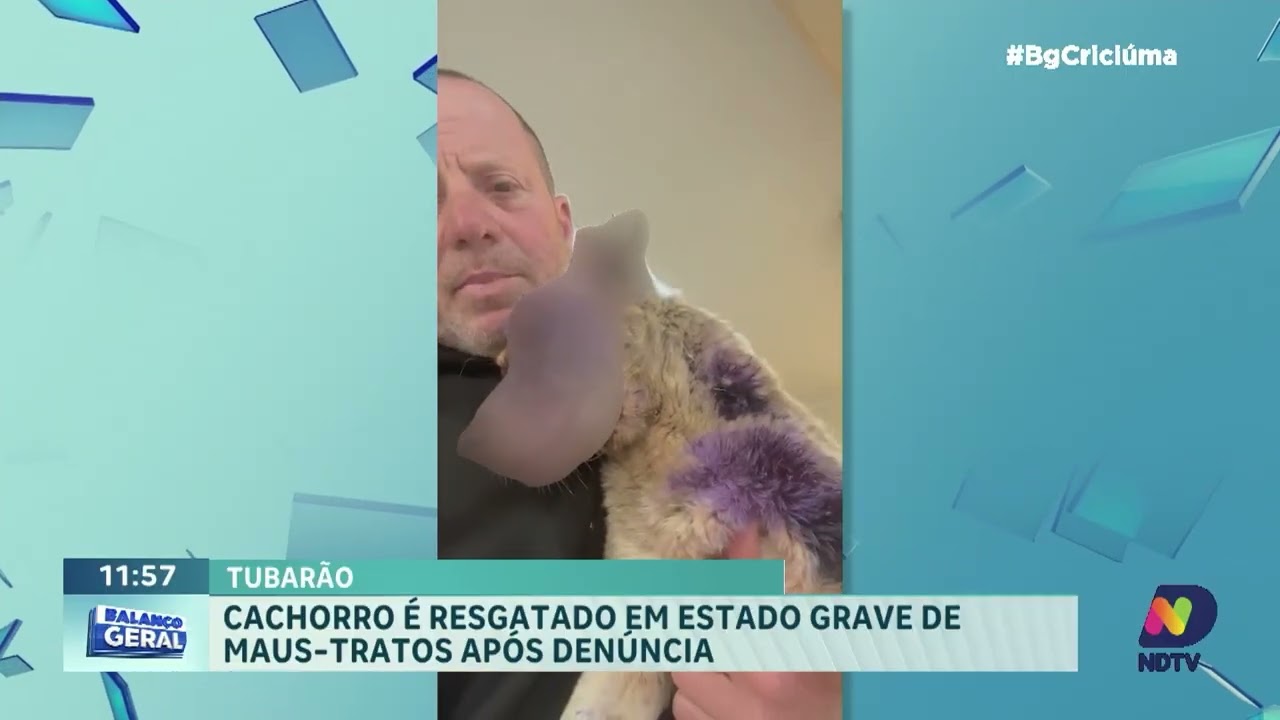 Cão é resgatado em estado grave após denúncia em Tubarão