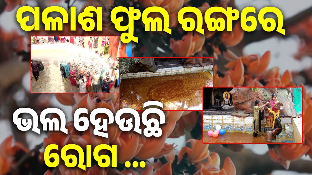 ପଳାଶ ଫୁଲରେ ତିଆରି ରଙ୍ଗରେ ସ୍ନାନ କଲେ ଯୌନଶକ୍ତି ବୃଦ୍ଧି ସହିତ ଭଲ ହୁଏ ଆଠ ପ୍ରକାର ରୋଗ....  || Knews Odisha