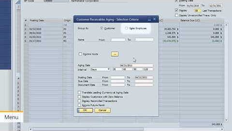 SAP Business One -- The Single Solution that Grows with Your Business: Product Demo