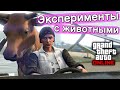 Эксперименты с животными в GTA Online