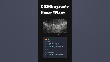 CSS Grayscale Image Hover Effect | #shorts