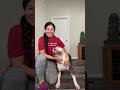 #funny #cat #pets #animals #dog #cute #cats #memes #dogs #funnyanimals