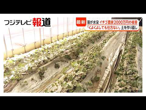 Parents relieved as Chiba nursery reopens after flooding; farmers face disaster with debris-fille...