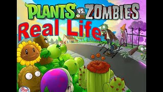 Plants vs Zombies Real Life Edition 1 - 4