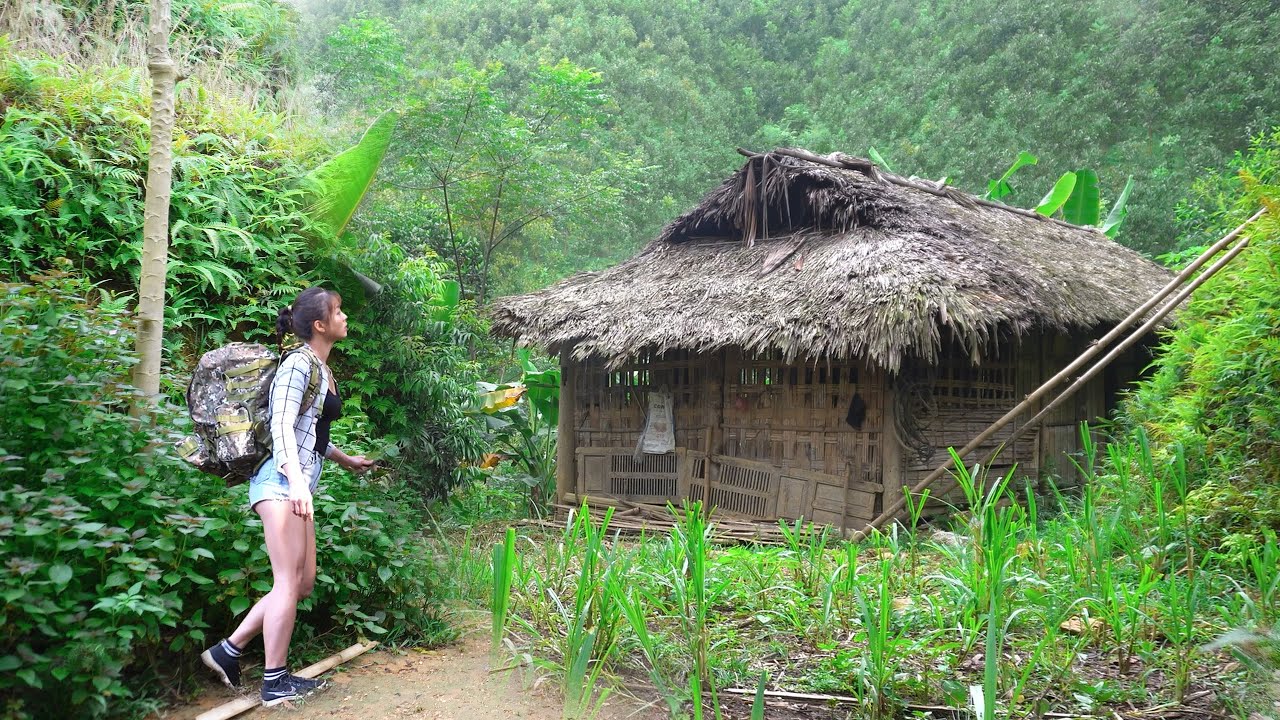TIMELAPSE --460 Days The Journey To Renovate An Old House Into Beautiful Log Cabin /Phương's Story
