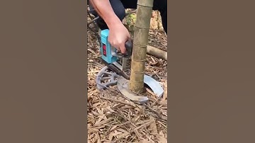Bamboo tree cutting process- good tools can improve work efficiency
