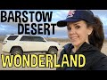 #691 Barstow Desert Wonderland: In Search of Strange and Unusual Stuff in the Mojave Desert