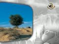 شارة برنامج أحاديث الأعراب قديم قناة المجد للحديث النبوي ١٤٣٣ هـ
