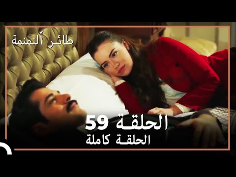 59 طائر النمنمة الحلقة