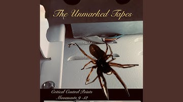 Critical Control Movement Twelve