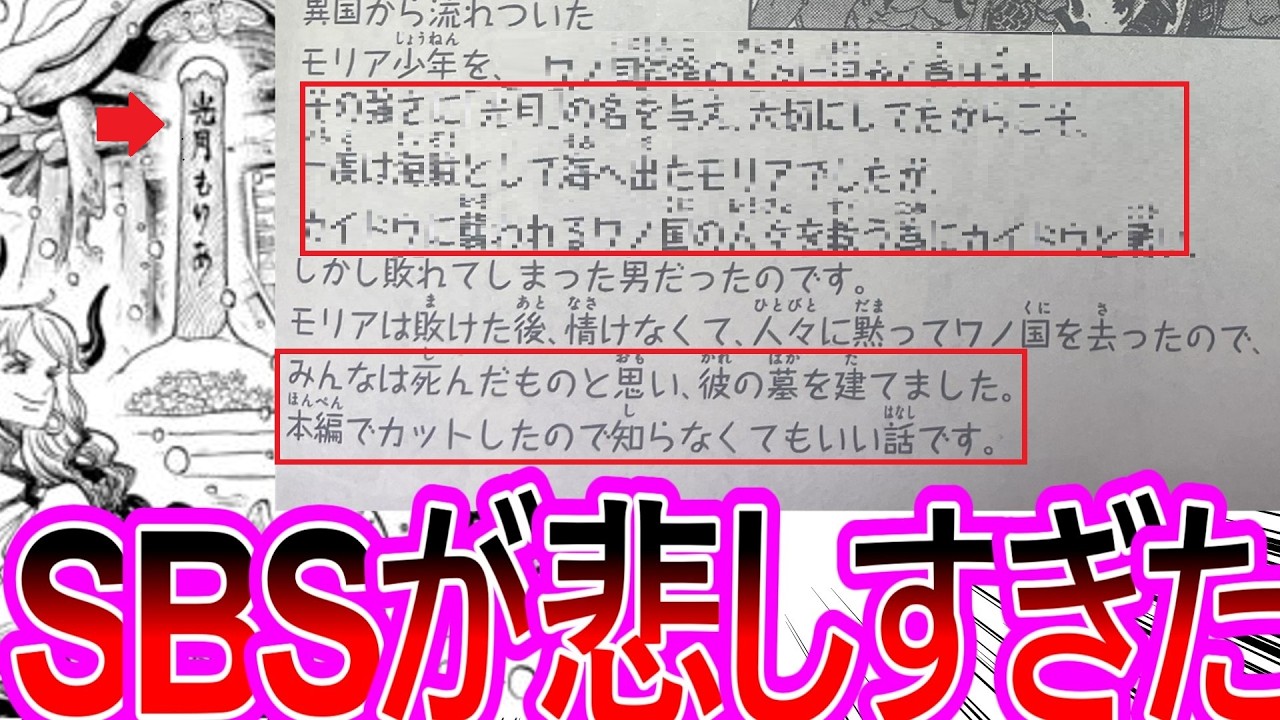 【ワンピース】最新114巻SBSにてあの墓の真相が明らかになり衝撃を受ける読者の反応集