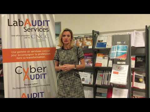 Présentation de l'outil CyberAUDIT©