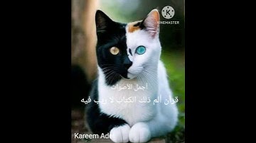 قرآن صوت مؤثر جدا ألم ذلك الكتاب لا ريب فيه القارئ سعود بن محمد الفايز@@