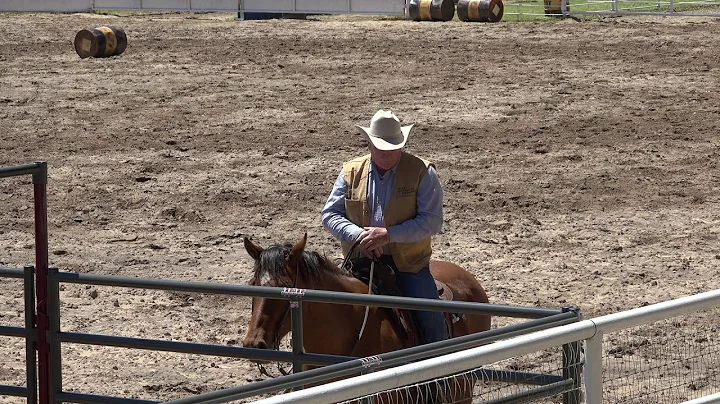 Ron Gill Stockmanship - Hemphill Co. Beef Conference - Full Video