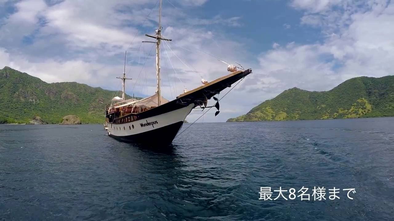 Wunderpus Short Promo-Japanese/ Wunderpus プロモーションビデオ日本語 (短)