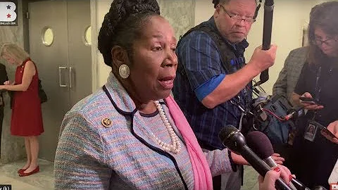 Sheila Jackson Lee Lies About AR-15s