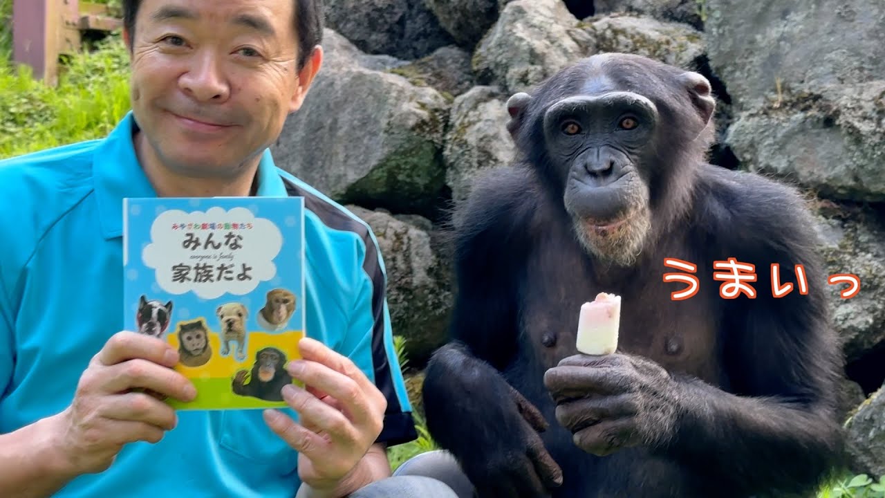 天才！チンパンジーパンくん・ポコちゃん・プリンちゃん」【みやざわ