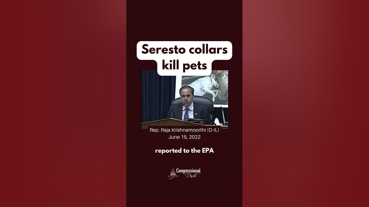 Seresto Collars Kill Pets YouTube