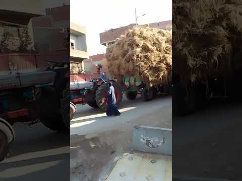 الكتان كادت أن تكون كارثه