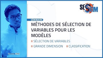 Méthodes de sélection de variables pour les modèles | Séminaire