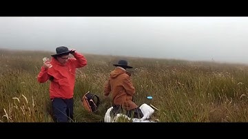 Peatland restoration - Wales 2022