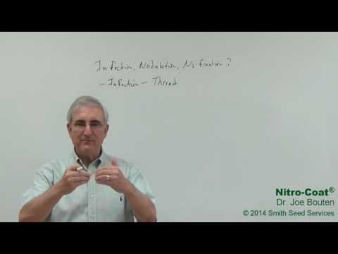 Part 2 - What is the Nodulation Process? - YouTube