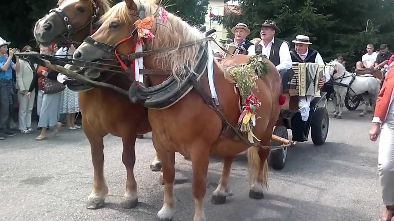 Bryczki konne - folklor portal wiano.eu