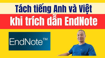 Hướng dẫn tách trích dẫn tiếng Anh và Việt trong Endnote | TS.BS.Vũ Duy Kiên ☑️