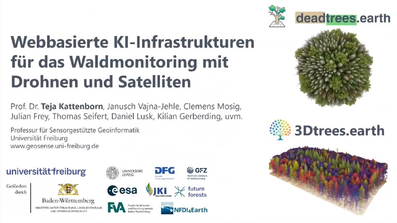 Deadtrees.earth & 3dtrees.earth (Kattenborn, Albert-Ludwigs-Universität Freiburg)
