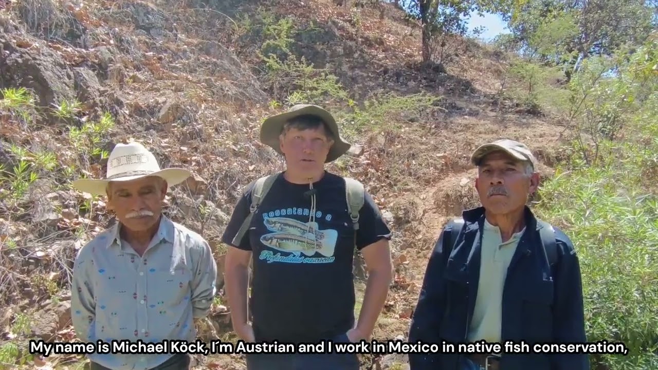 Visitando el hábitat de Profundulus oaxacae en Jalapa del Valle en 2025